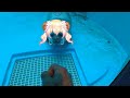 【Vtuber廢片】Konn Nene Seal. こんねねアザラシ【桃鈴ねね/MomosuzuNene】【memes】