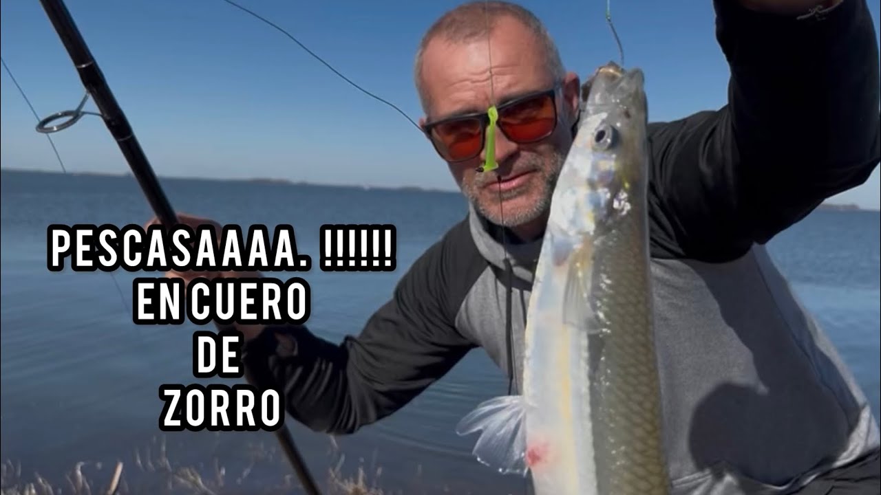 Asi se pesca de costa en cuero de zorro!!!