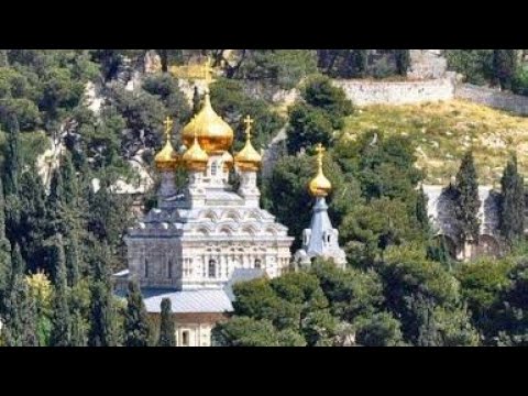 Video: Oficial de MTR con palabras directas sobre el trabajo en Siria