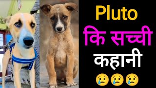 Meet Pluto: The Lovable Street Dog with a Heart of Gold ❤️ by Pomtoy Anurag 1,742 views 9 days ago 3 minutes, 55 seconds