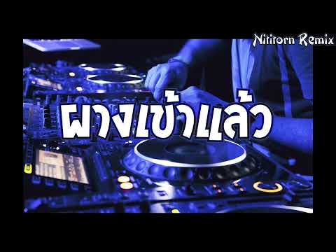 ชอบมานาน (ผางเข้าแล้ว) - อ๊อฟ ดอกฟ้า แดนซ์รีมิกซ์｜Nititorn REMIX