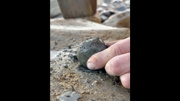 Ammonite Cracked Open by Pebble Beach 🏝️🦕 #shorts #beach