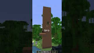 POV: You Meet the Poorest Player in Minecraft