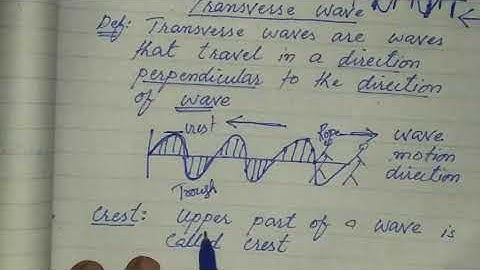Physics Class 10||Unit 10:General wave properties||Types of a wave||Transverse wave