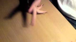 BakFall battle vs Maksym 20011-04-13