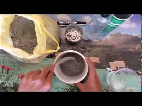 How to Make Cement Planters - YouTube