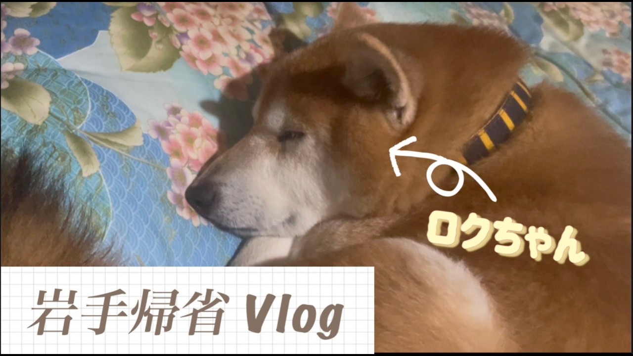 〜岩手帰省〜2026