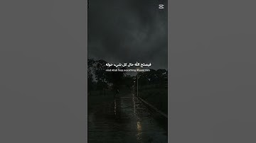 القرآن الكريم 🤍 #elmulquranعلم #القارىء #القارىء_اسلام_صبحي #راحة_نفسية #المصحف #لايك #الرحمن