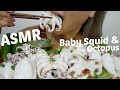 Baby squid  baby octopus   asmr relaxing eating sounds  ne lets eat