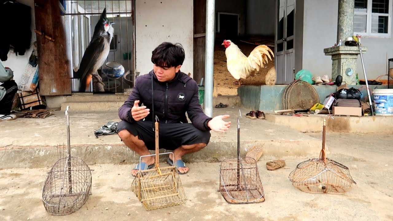 Chế Lồng Bẫy Không Cầu Tử Thêm Chào Mào Mơ | Dân Tộc Tây Bắc Tv