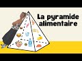 Pyramide alimentaire  les familles daliments