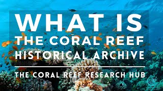 The Coral Reef Research Hub Historical Archive Information Video Marine Ecology Conservation Project