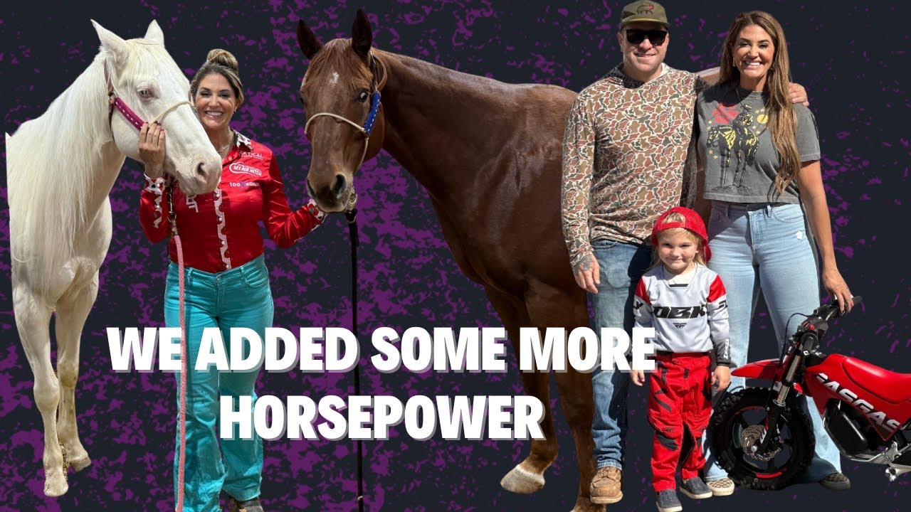 3 ЛОШАДИ 1 ВЫХОДНЫЕ и 1 БРЕНД 😉 НОВАЯ СТРАСТЬ
