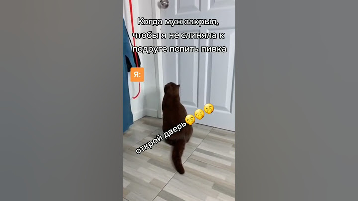 Открой пожалуйста дверь 😍😍🤩🤩👁️