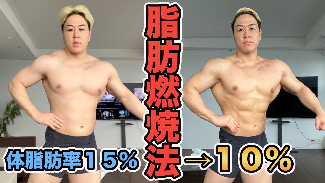 体脂肪落とすの簡単なんだが