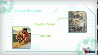 Last Nang Post Ng Project Ito Chloro Ap