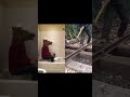 Train Hammers Turned Into Drum Remix Mp3 Song