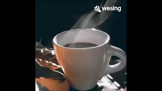 Download Lagu Kopi Dangdut MP3