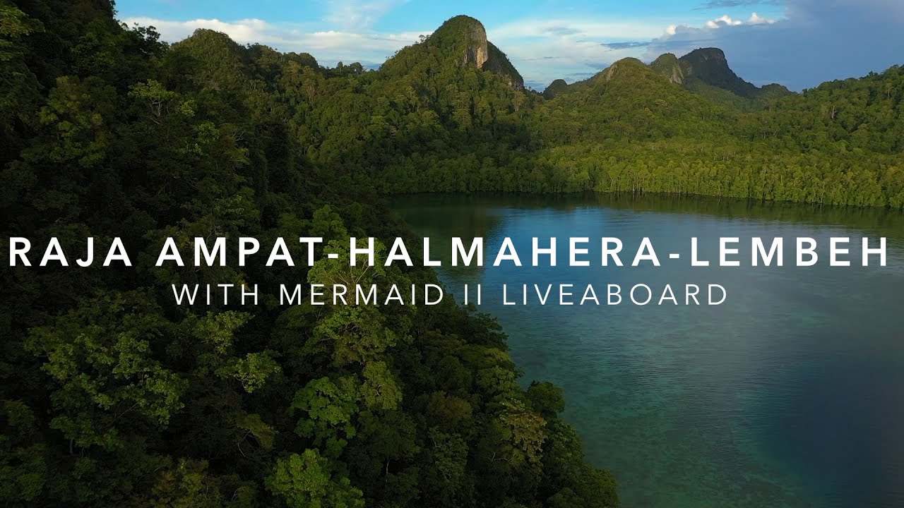 Raja Ampat-Halmahera-Lembeh Snorkel Safari with Mermad II