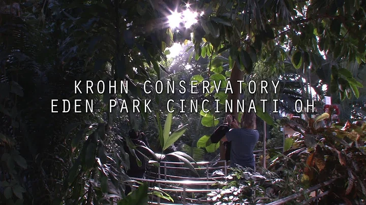 Krohn Conservatory Cincinnati Ohio