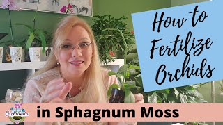 Watch me water my orchids in sphagnum moss. Lots of moss growing tips. 