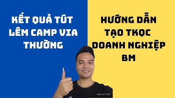 Show Kết Quả Tut Lên Camp Bằng Via Chưa XMDT và Hướng Dẫn Tạo TKQC BM