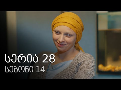 ჩემი ცოლის დაქალები - სერია 28 (სეზონი 14)