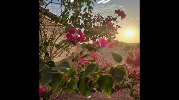 تلاوه عطره سورة الكهف كامله