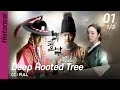 Ccfull deep rooted tree ep01 13  