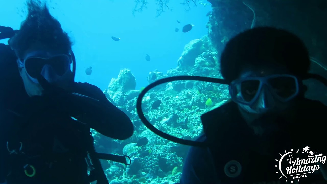 Scuba Diving Maldives (1) Amazing Holidays YouTube
