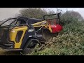 Forestry Mulching Overgrown Hedge