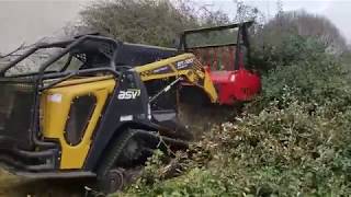 Forestry Mulching Overgrown Hedge