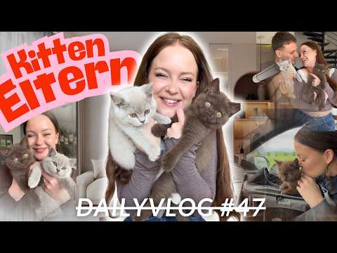 WIR WERDEN KATZEN ELTERN!  🥹❤️🐾