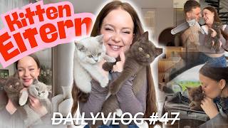 WIR WERDEN KATZEN ELTERN!  🥹❤️🐾