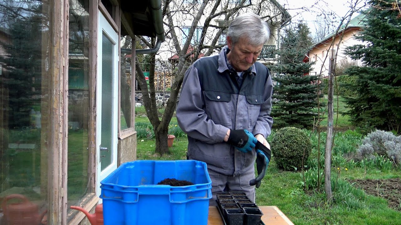 Uborka és cukkini magvetés legegyszerűbb formája Goldperger Andrással