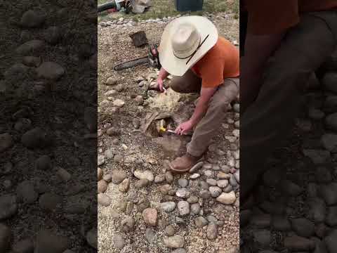 Stump Removal #stumpgrinding #tree #landscape