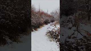 Deep snow, narrow path, crunchy steps! 🌨️