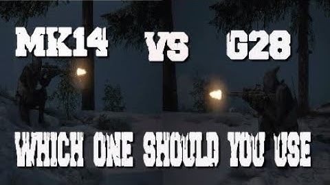 DMR Comparison Which Is Better? | Tom Clancys Ghost Recon Breakpoint