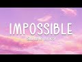 Shontelle - Impossible (Lyrics)