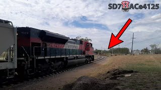 Vacas se atraviezan y Obligan al Tren a Detenerse en Seco🚫🐮 Vaya Sorpresa en Altamira EMDX 7237🚂