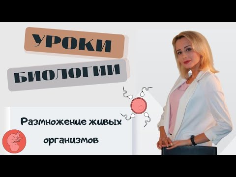 Размножение живых организмов