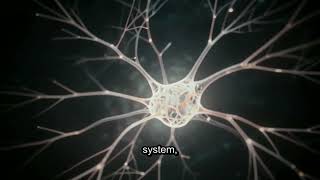The Fragmentation of Self: Why Doomscrolling is Rewiring Your Brain