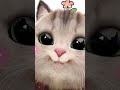 overthinking 🤦🤦😂😂#cutekitty#catvideos#viralvideo#trendingreels#funny#selfobessed#overthinking#viral
