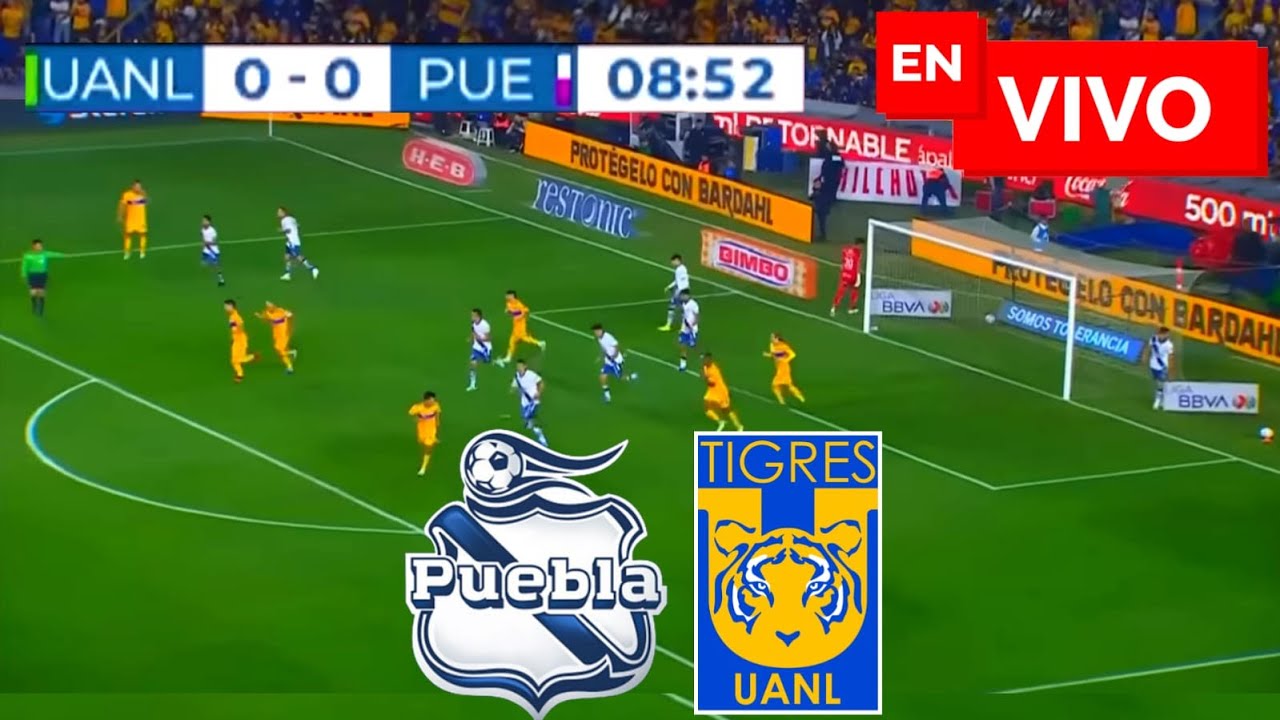 🔴 Tigres vs San luis EN VIVO / Liga MX Clausura - YouTube