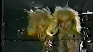 X JAPAN - Stop Bloody Rain (1986.08.02) [60fps] +Lyrics