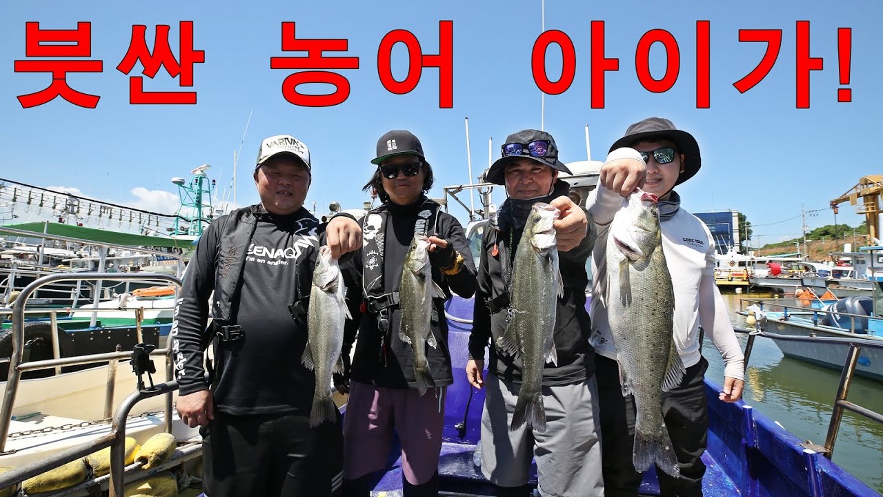 부산 가덕도 농어 선상[안골 슬기호]