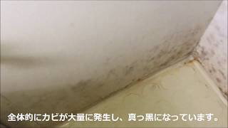 業務用カビ取り剤使用例 ～お風呂場編～