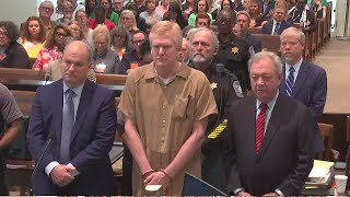 FULL: Alex Murdaugh sentenced to life in prison for murder of wife, son