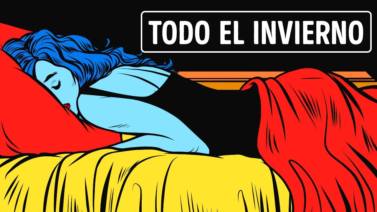 Por qu� los osos hibernan, pero los humanos no pueden hacerlo