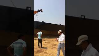 3 crane in cow farm